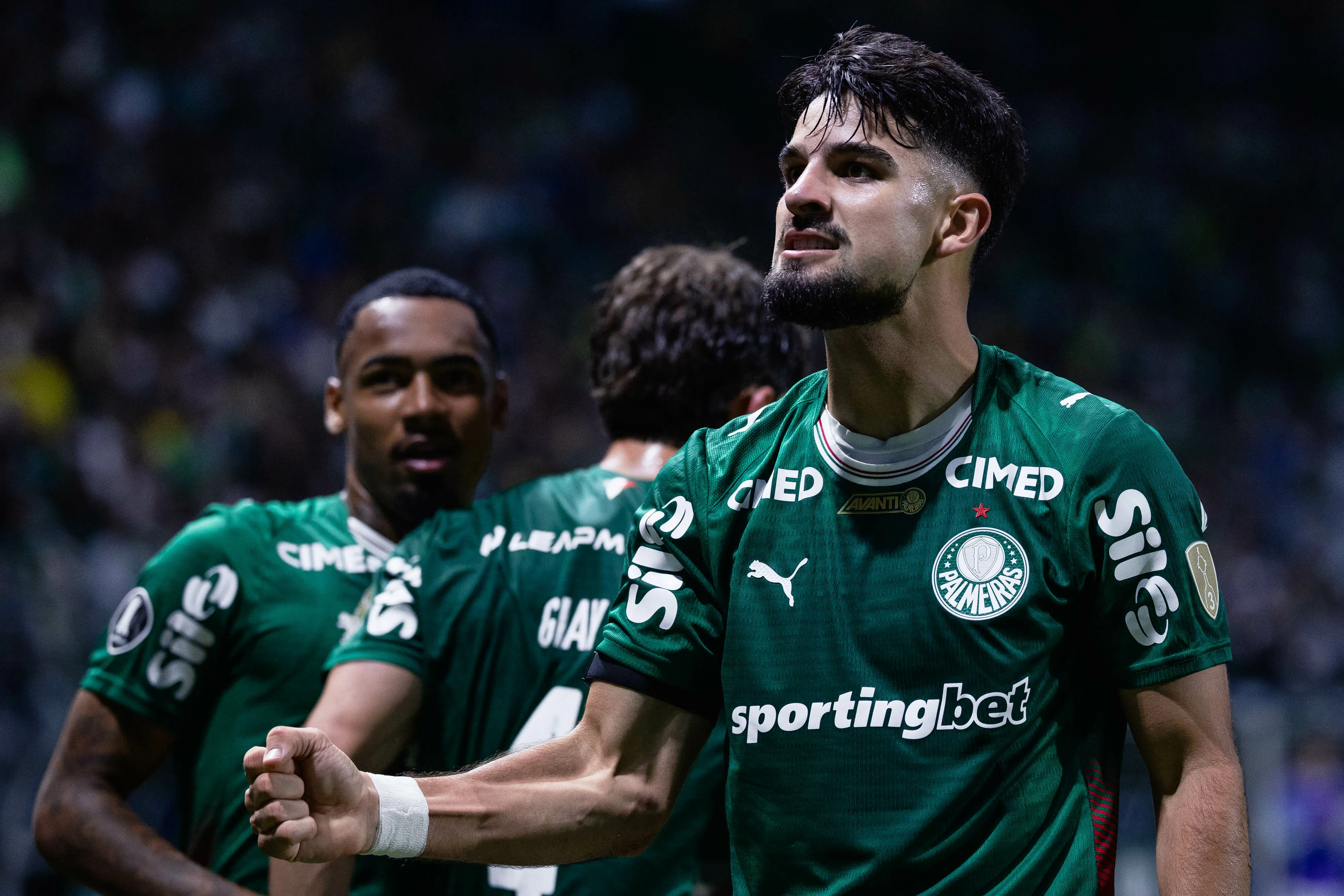 Palmeiras. Foto: Ettore Chiereguini/AGIF
