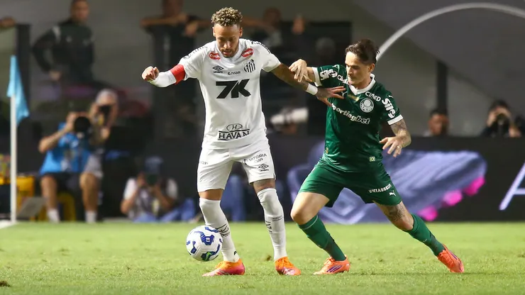 Clássico entre Santos e Palmeiras. Foto: Mauricio De Souza/AGIF