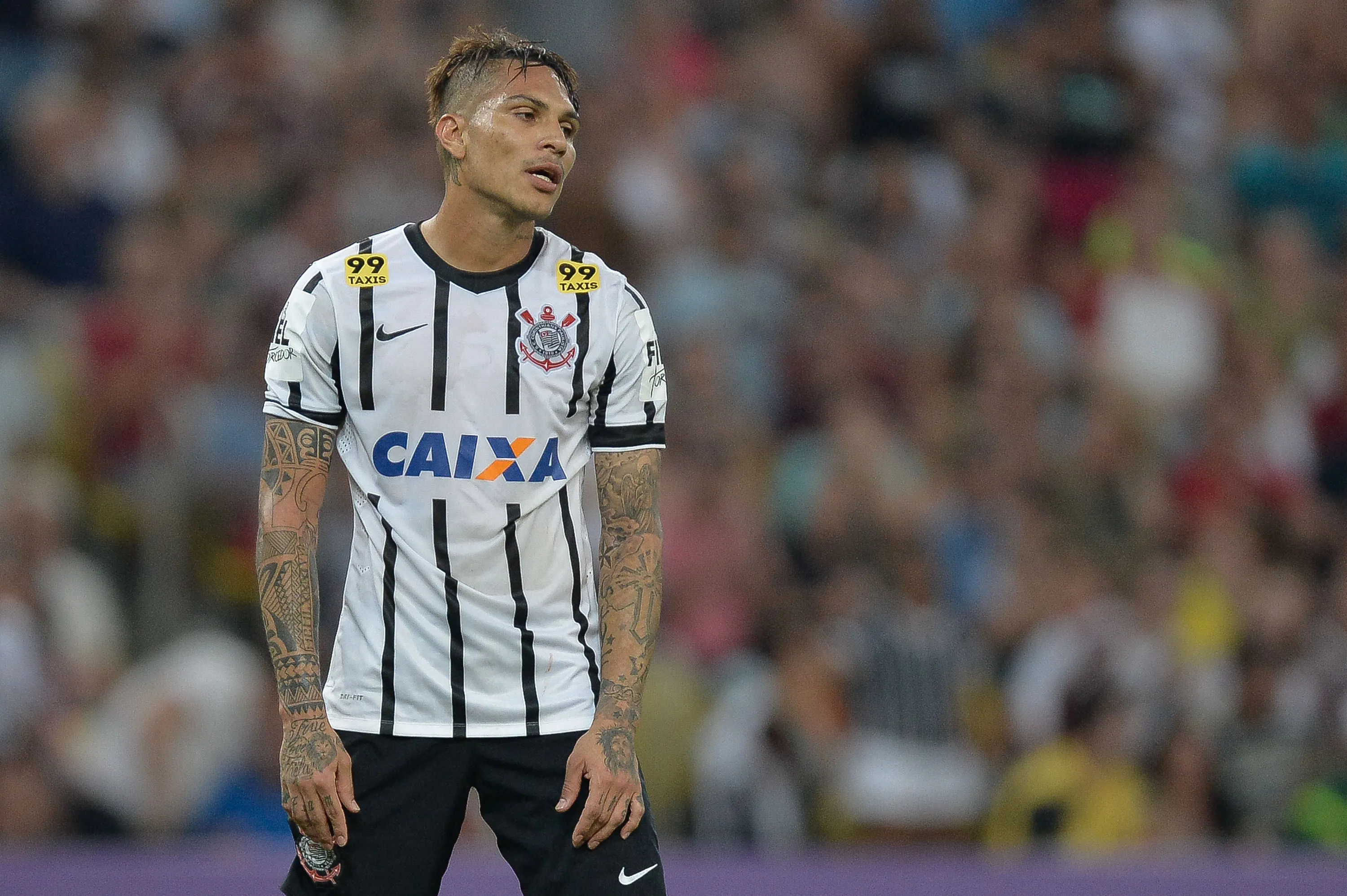 Paolo Guerrero. Foto: Pedro Martins/AGIF