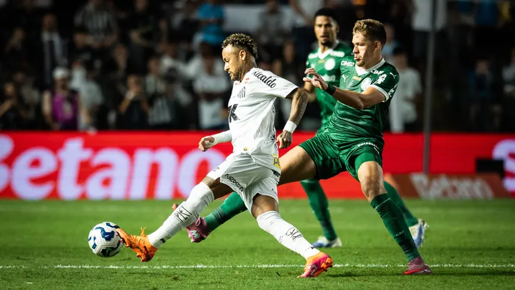 Santos x Palmeiras Foto: REBECA SCHUMACKER -IMAGO
