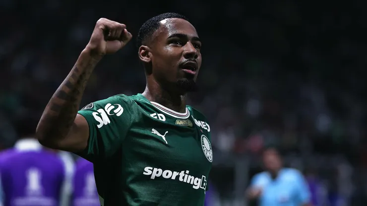 Allan durante jogo do Palmeiras - Foto Ettore ChiereguiniAGIF