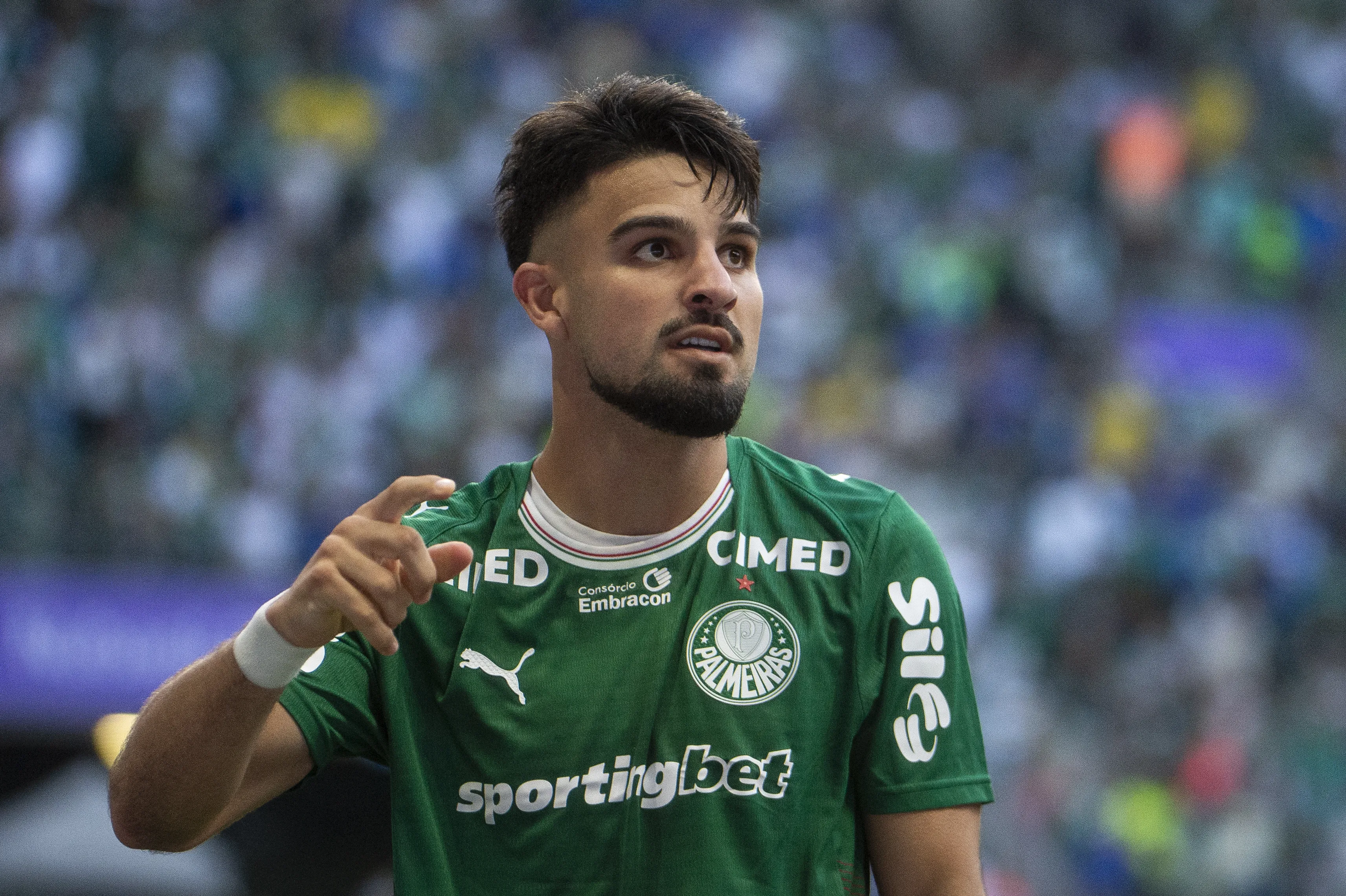 Palmeiras. Foto: Anderson Romão/AGIF