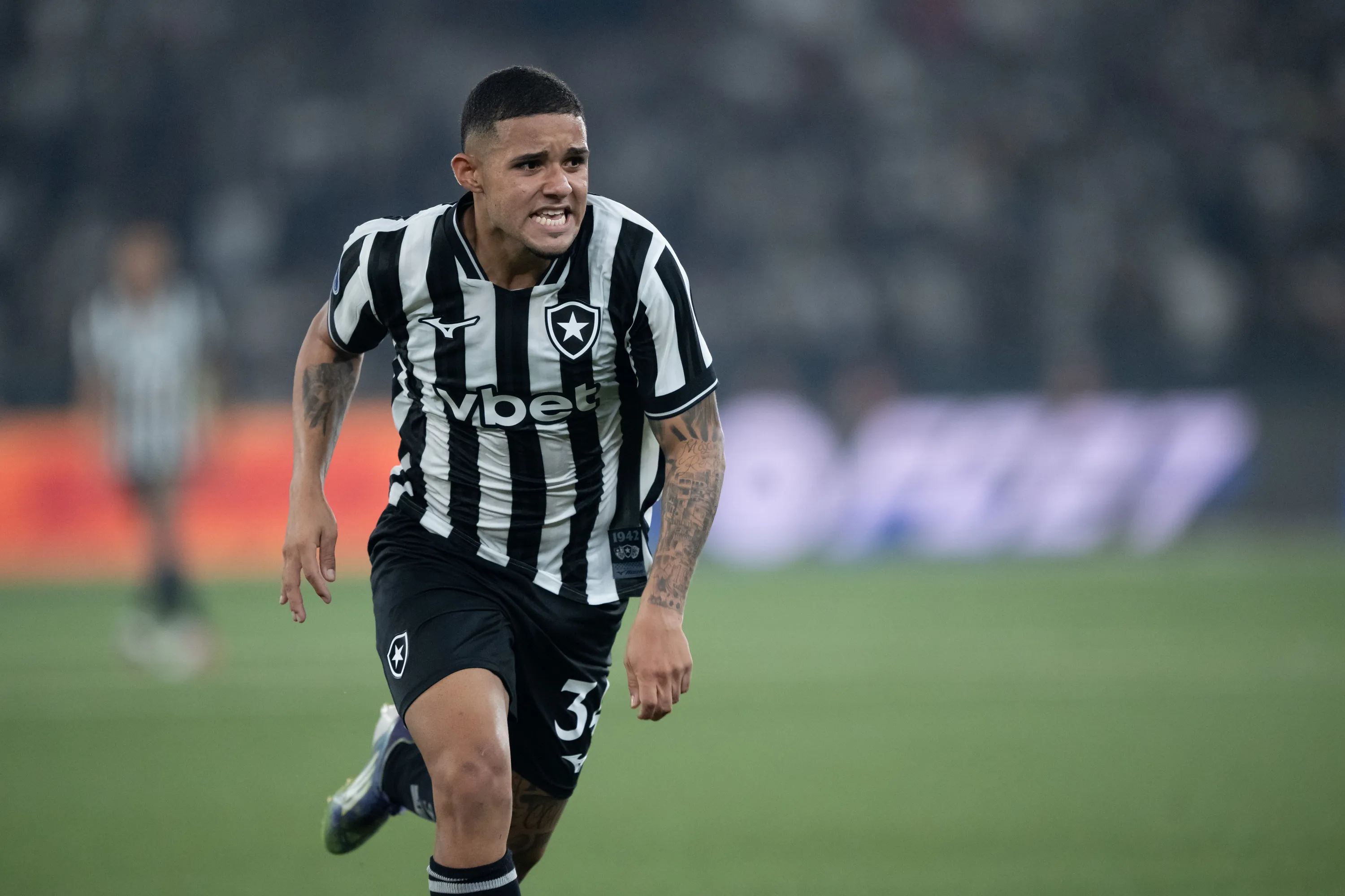 Botafogo. Foto: Jorge Rodrigues/AGIF