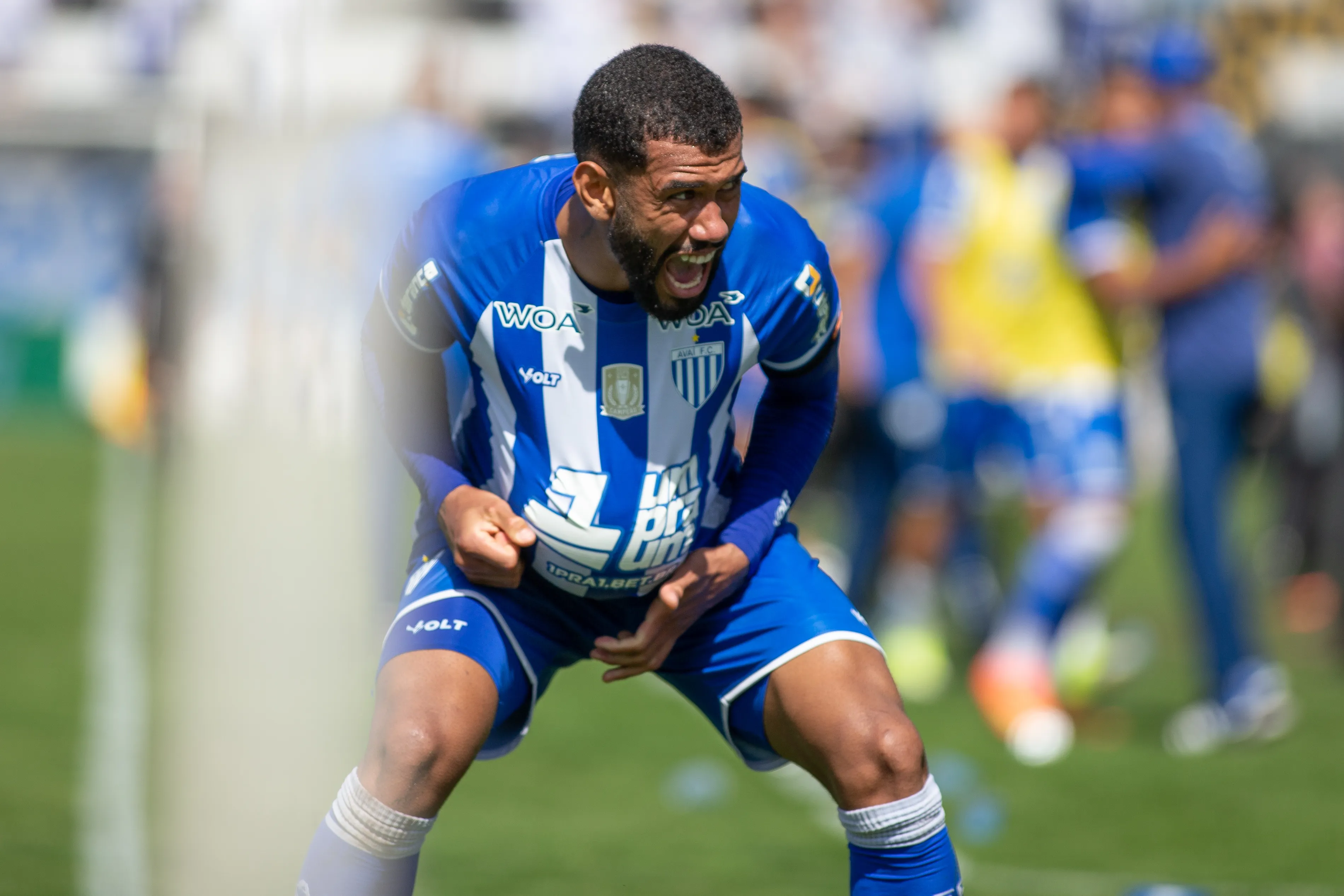Avaí. Foto: Giovani Baccin/AGIF