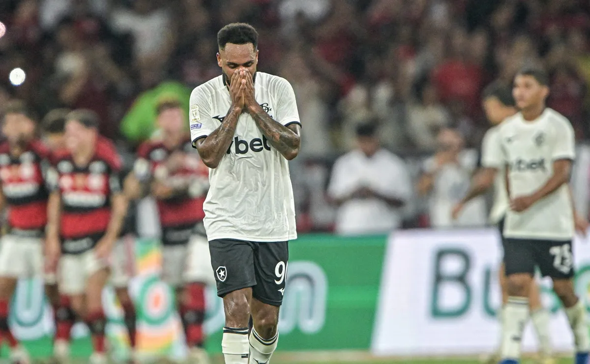Botafogo tem gol anulado no início e acaba perdendo para o Flamengo pelo Brasileirão