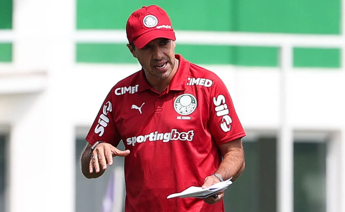 Palmeiras tem grandes jogadores, mas precisa provar que não depende deles para funcionar