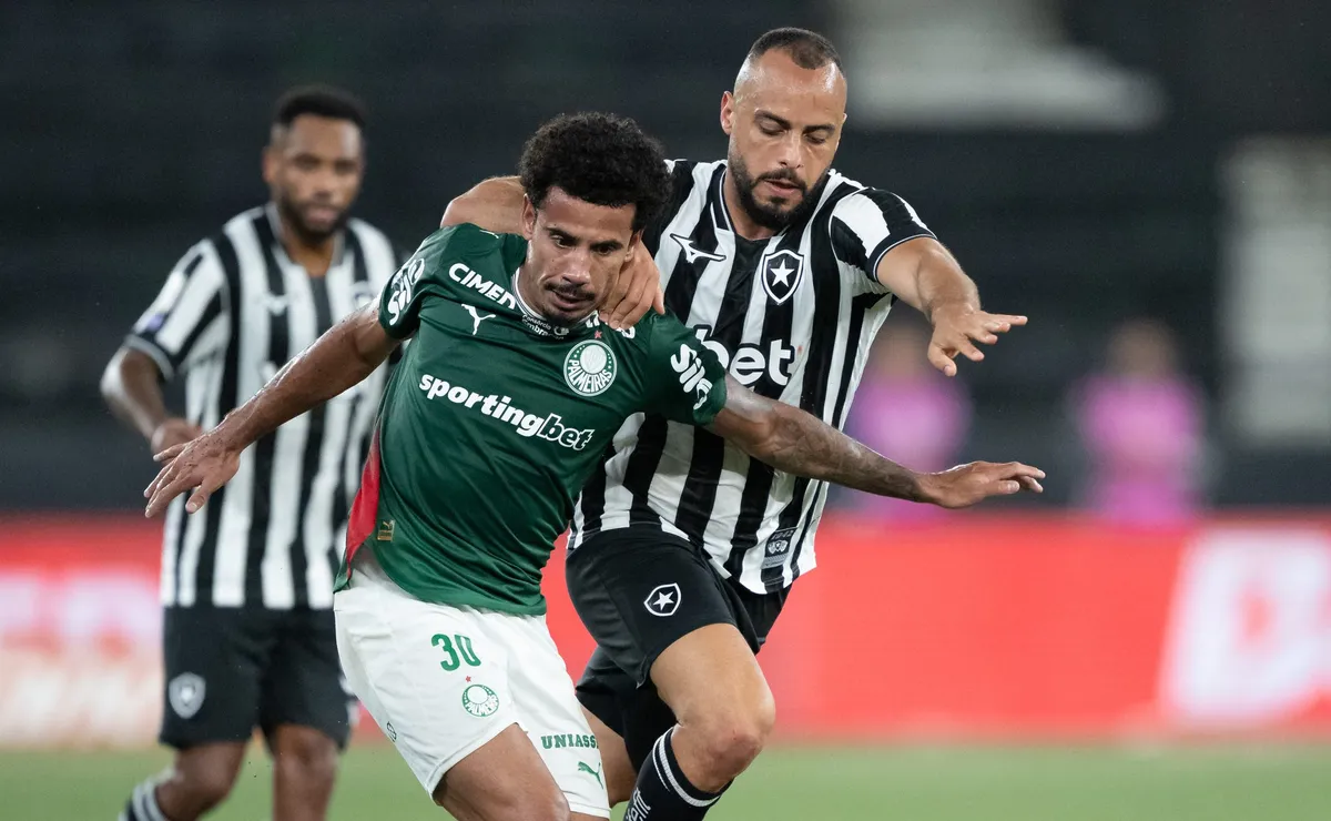 Botafogo empata em 0 a 0 com Palmeiras pelo Brasileirão no Nilton Santos