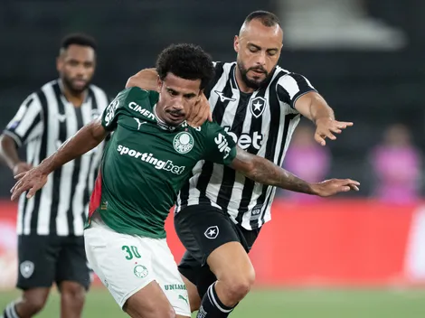 Botafogo empata em 0 a 0 com Palmeiras pelo Brasileirão