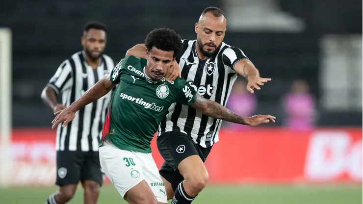 Botafogo x Palmeiras