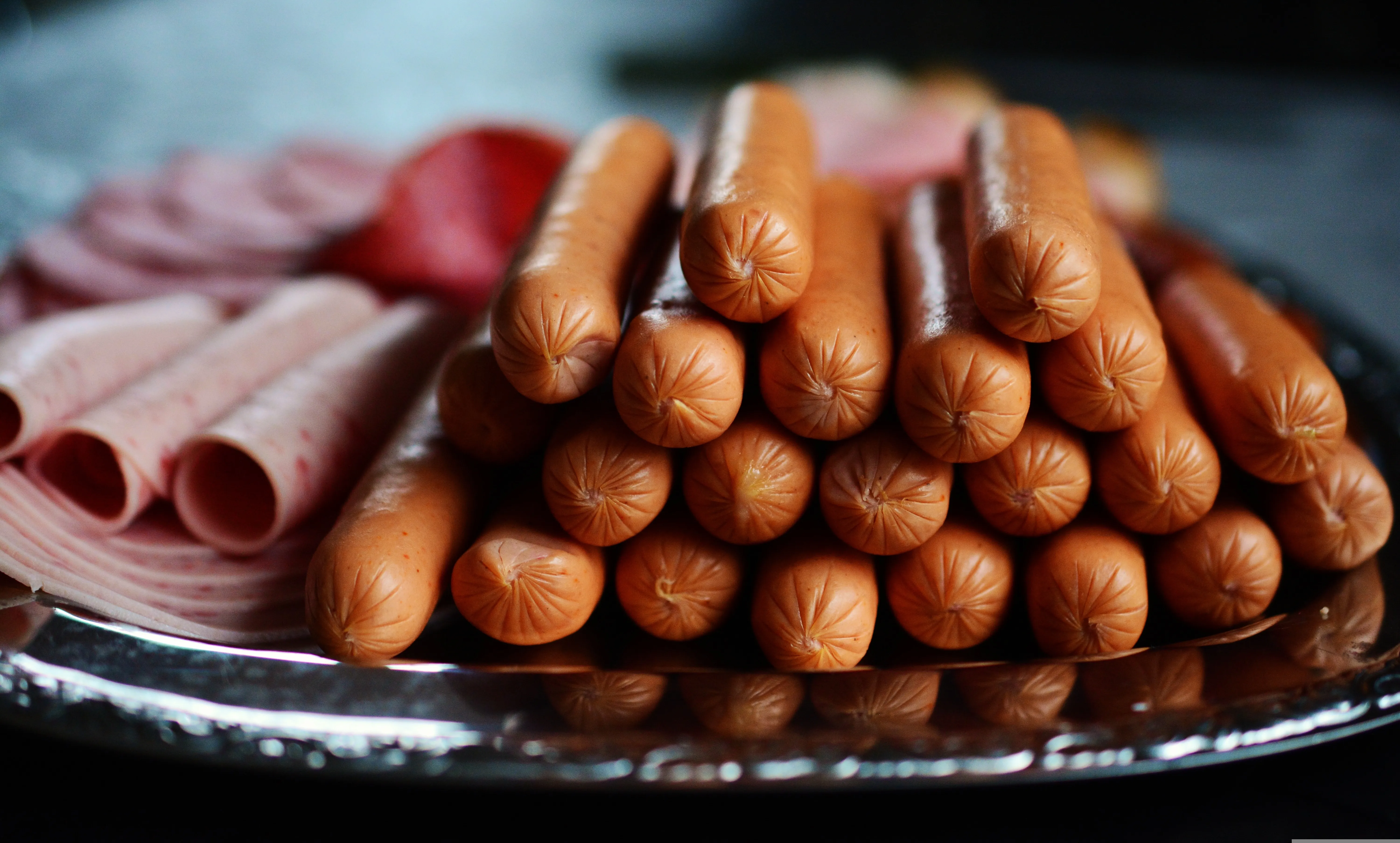 Embutidos (salsicha, presunto, mortadela e salame). Foto: Pixabay/congerdesign