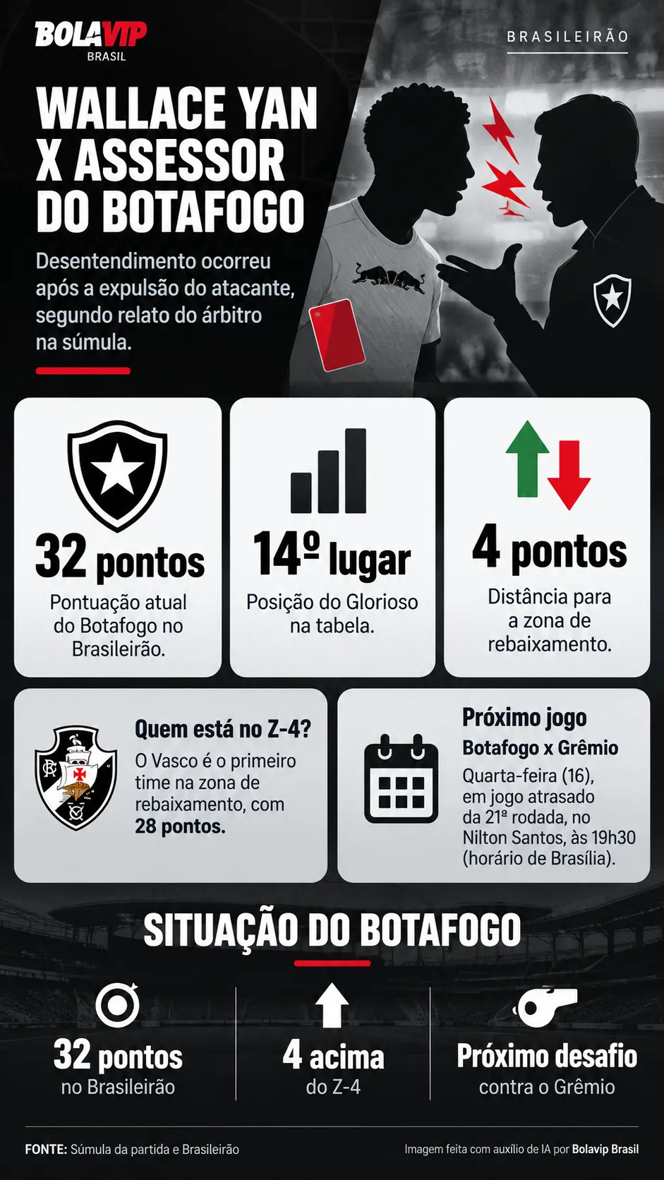 Infográfico Botafogo Brasileirão