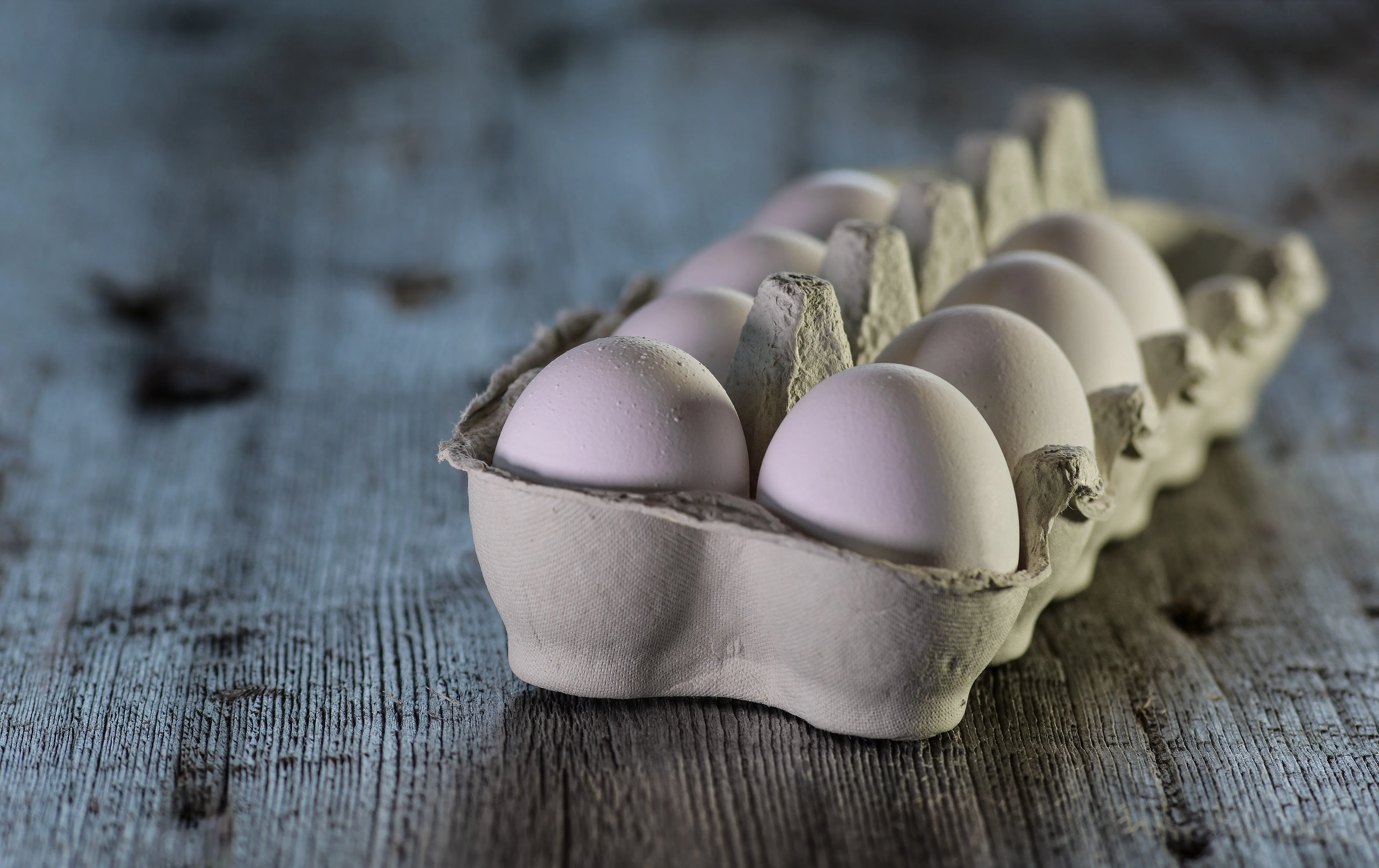 Ovos. Foto: Pixabay/monicore
