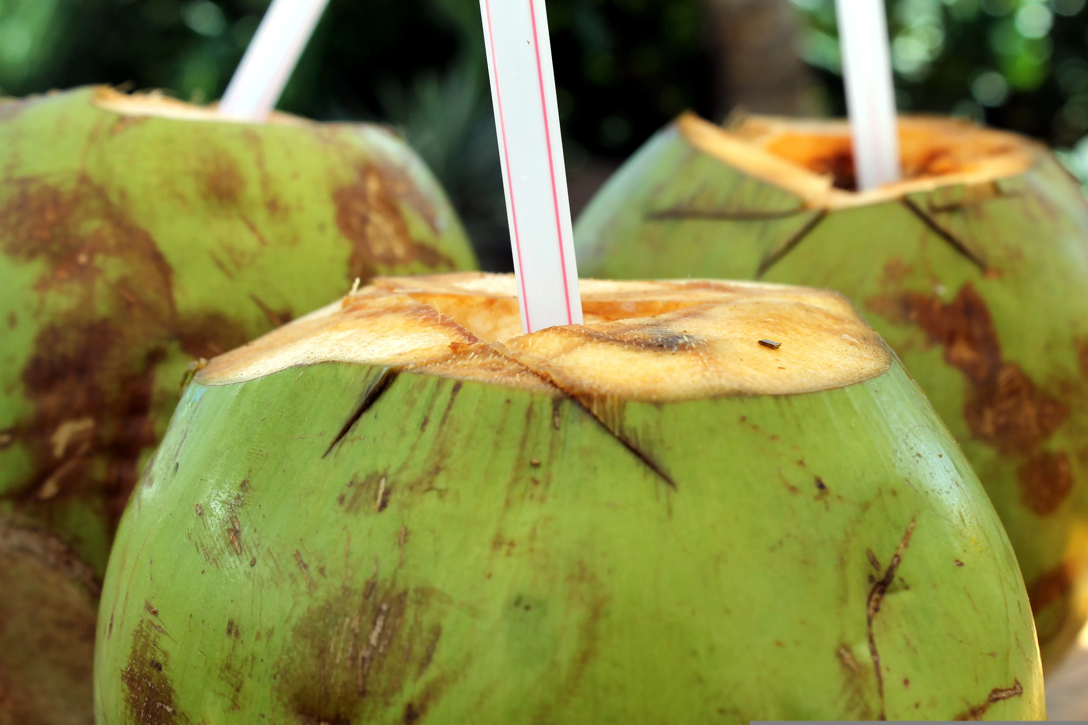 Água de coco. Foto: Pixabay/Gadini
