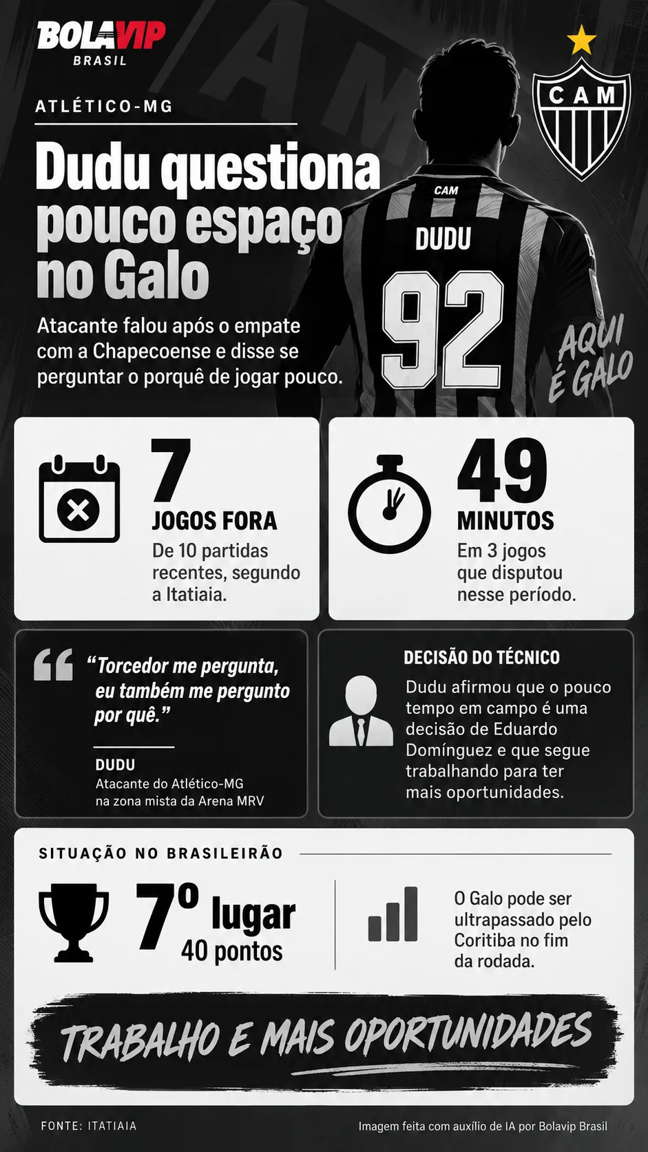 Infográfico Dudu