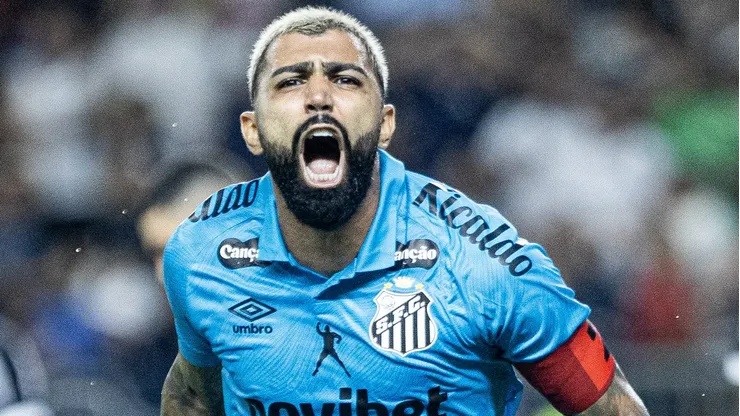 Atacante faz grande temporada - Foto: Reinaldo Campos/Santos FC.