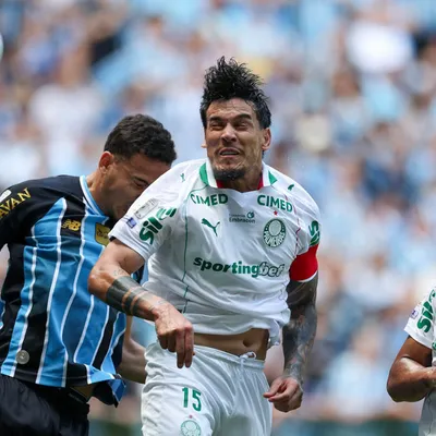 Palmeiras perde 11 pontos para Z-4 e tem 48% no returno do BR-26