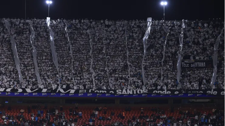 Torcida do Santos durante jogo no MorumBIS.