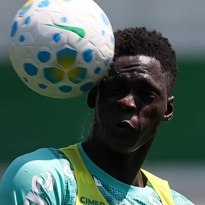 11 desfalques do Palmeiras expõem desafio maior para suas Crias da Academia