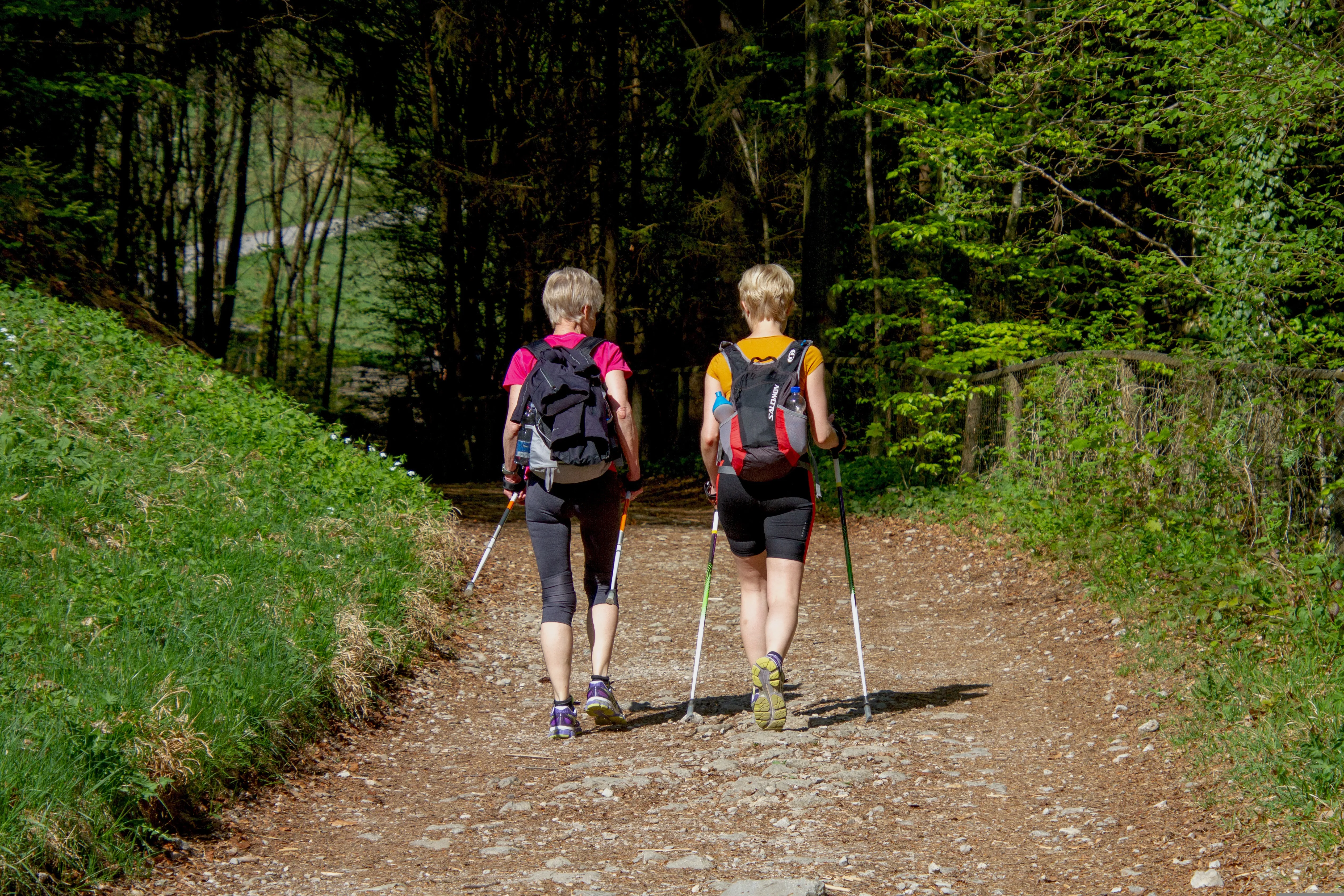 Caminhada. Foto: Pixabay