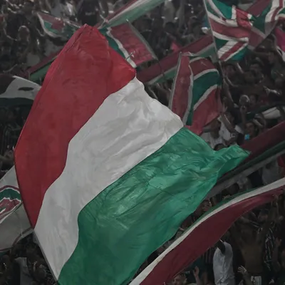 Fluminense e Palmeiras acertam carga de ingressos para Libertadores