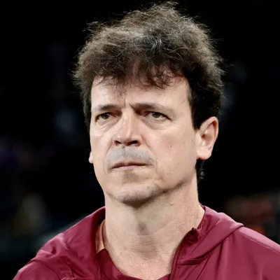 Fernando Diniz encontra dificuldades no mercado após demissão