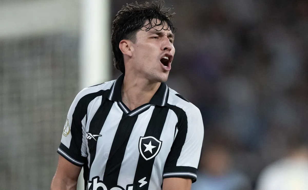 Após empate com o Coritiba, Ferraresi aponta evolução do Botafogo e mira a Chapecoense