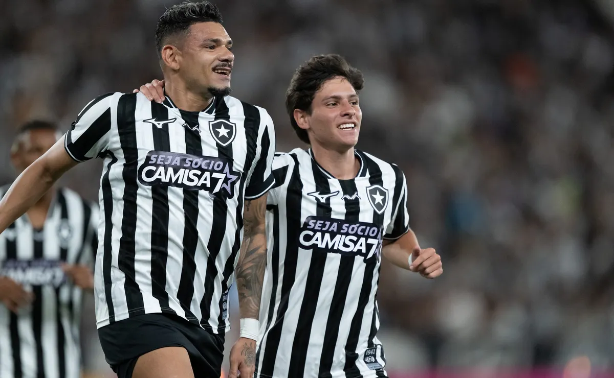Botafogo vence a Chapecoense e vê risco de rebaixamento ficar mais distante