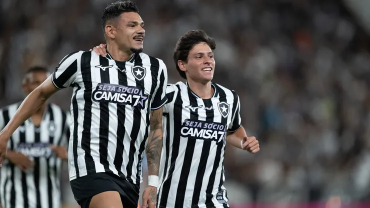Tiquinho Soares marcou o gol da vitória do Botafogo sobre a Chapecoense. Foto: Jorge Rodrigues/AGIF
