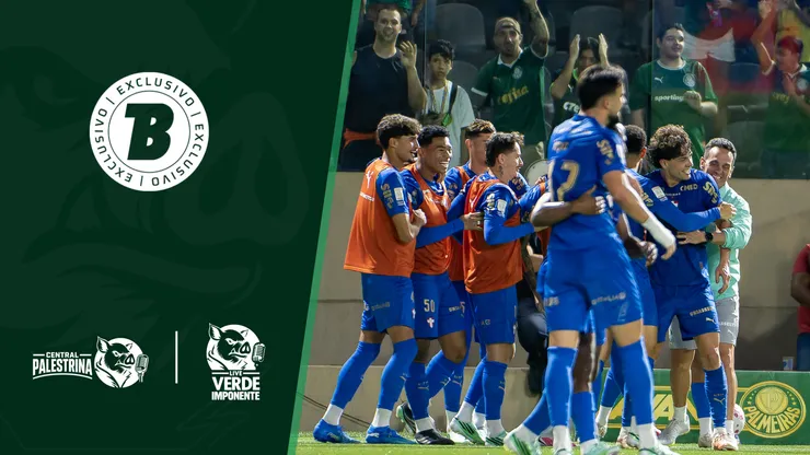 Palmeiras tem elenco mais maduro para conquistar títulos. Foto: Anderson Romão/AGIF