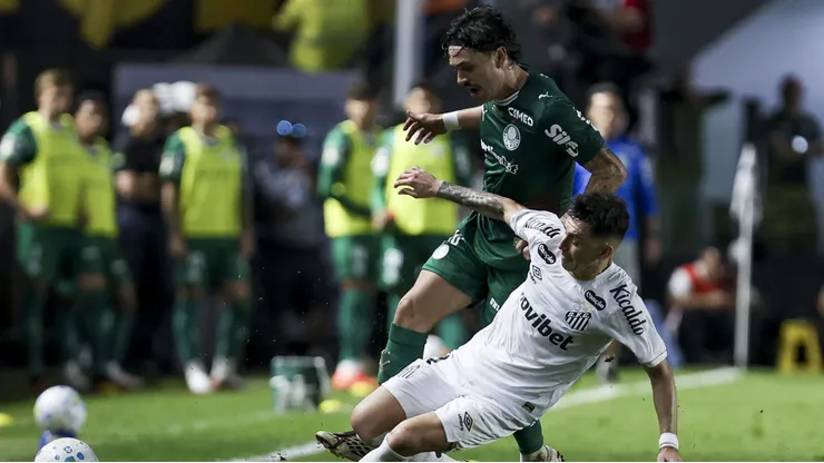 Palmeiras deve enfrentar o Santos em um gramado castigado pelas chuvas no litoral paulista