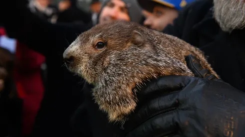 Groundhog handler AJ Derume holds Punxsutawney Phil in 2022.