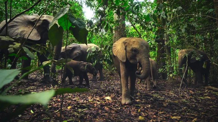 Our Living World