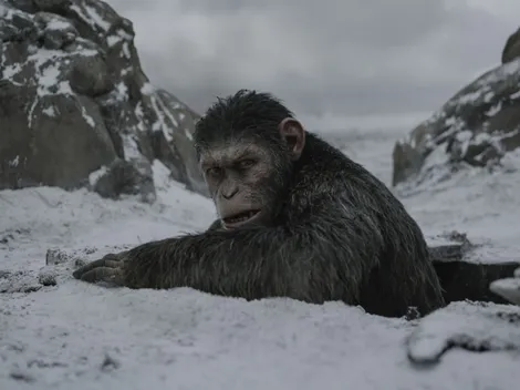 'War for the Planet of the Apes' ranks Top 1 on Disney+ worldwide