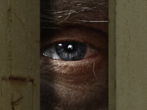 'Worst Roommate Ever' ranks #1 on Netflix in the United States