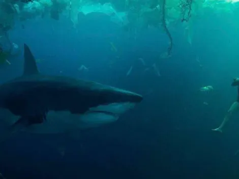 Netflix's Under Paris: Will the shark-themed thriller have a sequel?