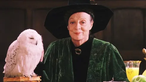 Maggie Smith as Professor Minerva McGonagall in Harry Potter.