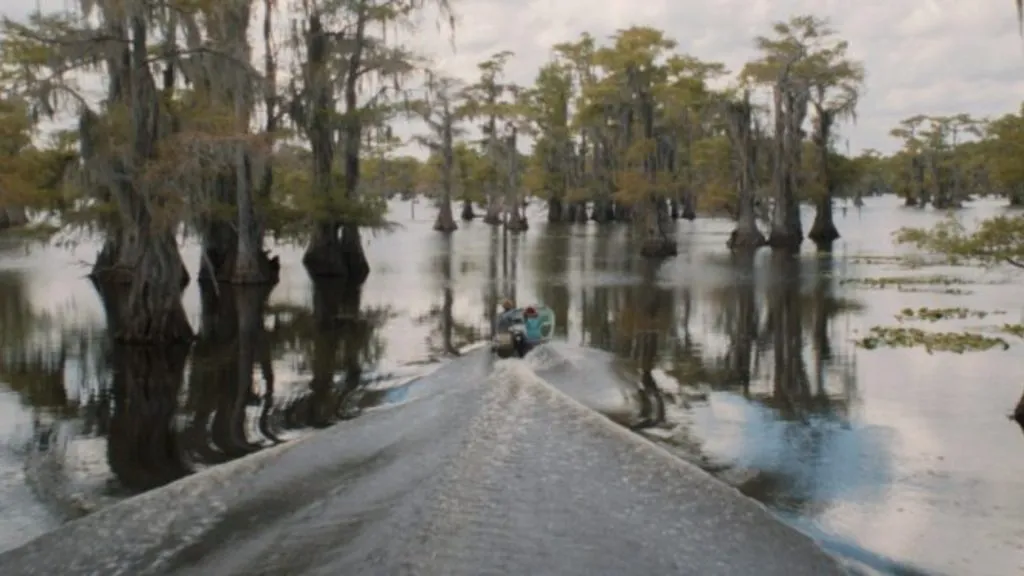 Caddo Lake (Source: DNyuz)