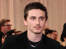 13 Hollywood stars who are still searching for that elusive first Oscar