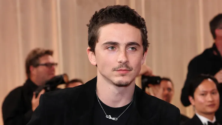 Timothée Chalamet attends the 83rd Annual Golden Globe Awards.