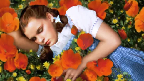 Judy Garland for "The Wizard of Oz"
