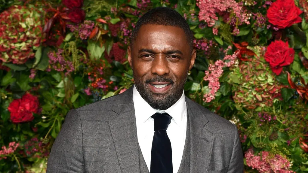 Idris Elba attends the Evening Standard Theatre Awards 2018 at the Theatre Royal on November 18, 2018 in London, England. (Photo by Jeff Spicer/Getty Images)