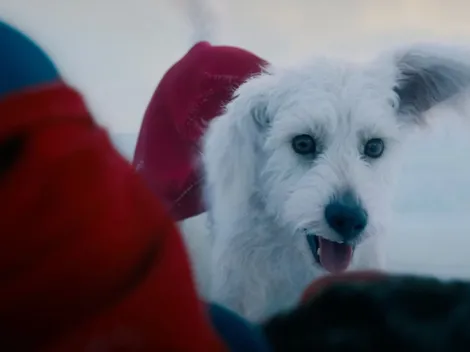 Krypto Sparks 500% Spike in Dog Adoption Interest After ‘Superman’