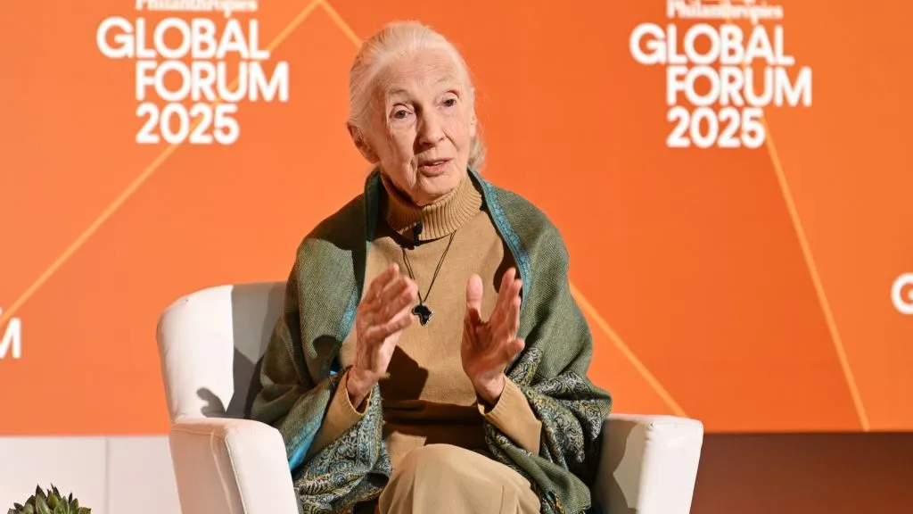 Jane Goodall in 2025. (Source: Bryan Bedder/Getty Images for Bloomberg Philanthropies)