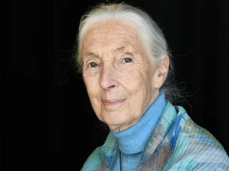 World's Foremost Expert on Chimpanzees Jane Goodall Passes Away at 91