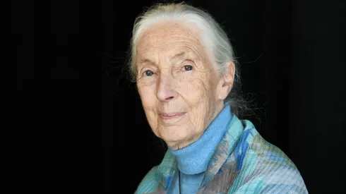 Dr. Jane Goodall attends the TIME 100 Summit 2019.