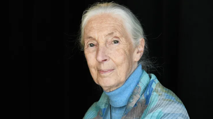 Dr. Jane Goodall attends the TIME 100 Summit 2019.
