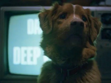 Good Boy Ending: Does the Dog Die at the End?