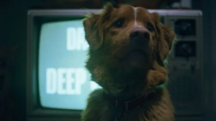 Indy in Good Boy.