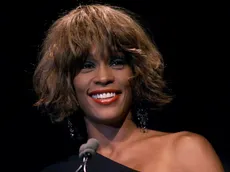 10 Singers Known for Writing Their Own Hits (And 10 Whose Hits Came From Songwriters)