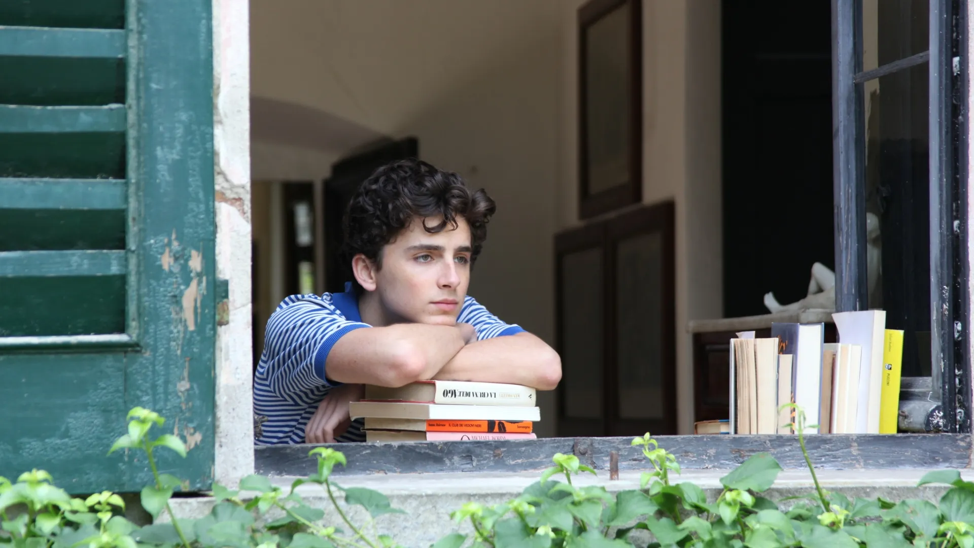 Timothée Chalamet in Call Me By Your Name / IMDb